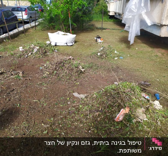 ערימת גזם, מסור חשמלי ושק לבן בגינה